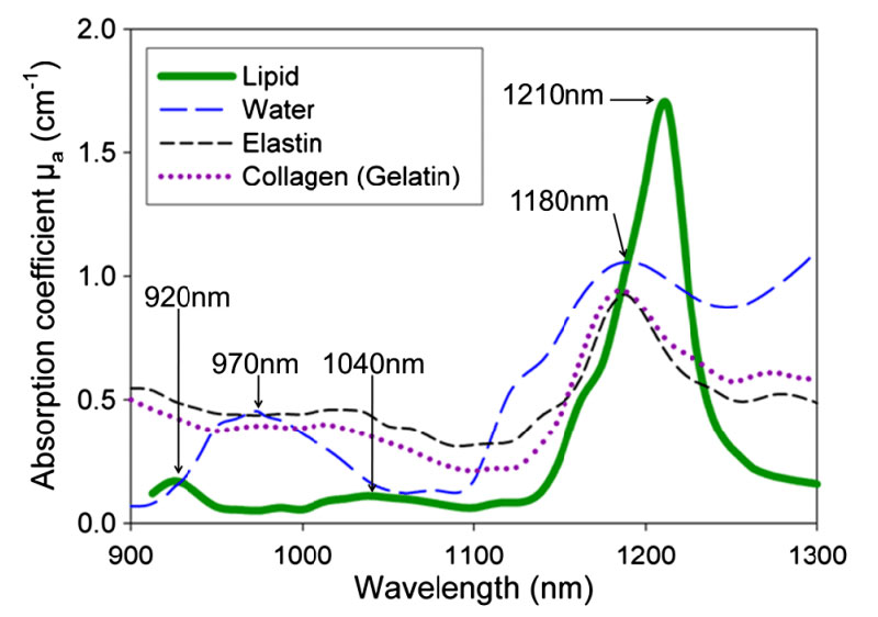 Absorption Coefficient of Lipolysis Laser
