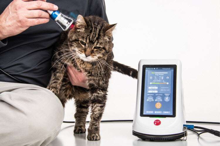 animal laser therapy machine